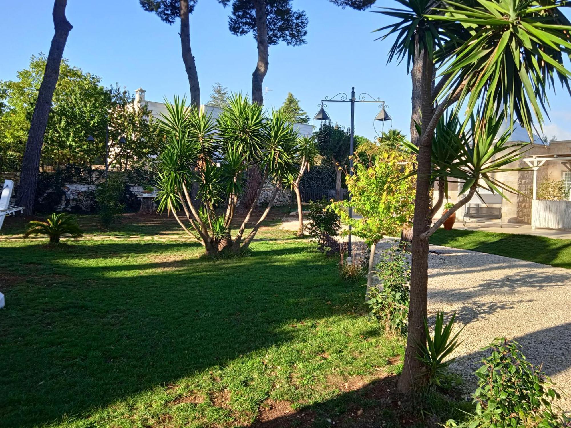 Villa Don Peppe Selva Di Fasano Oda fotoğraf