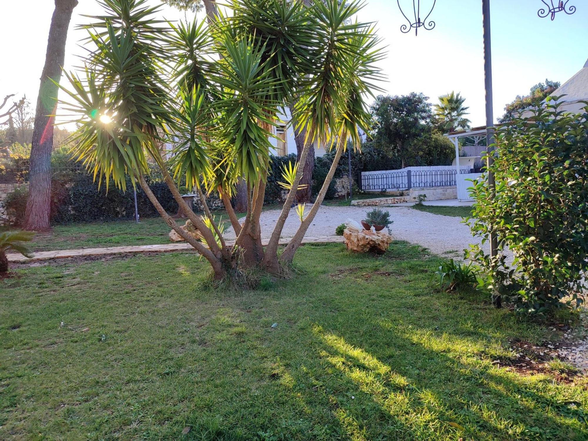 Villa Don Peppe Selva Di Fasano Oda fotoğraf